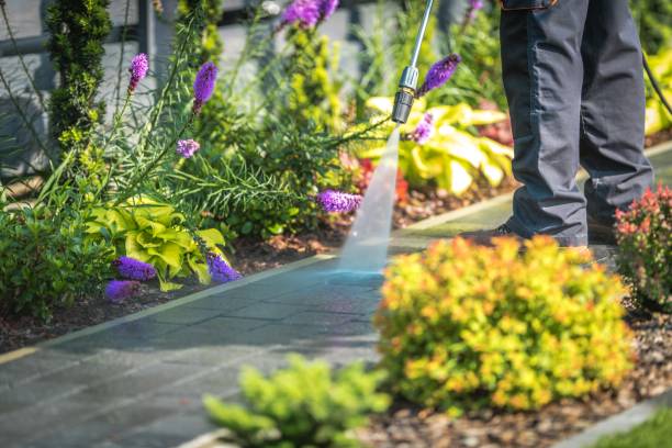  Pleasant Hills, OH Pressure Washing Pros